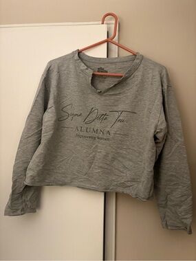 Sigma Delta Tau Alumna Gray Cropped long sleeve